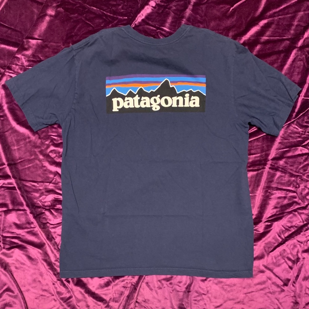 Men’s Patagonia Shirt Blue